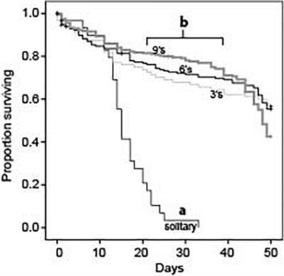 Efficient Allocation of Labor Maximizes Brood Development and Explains Why Intermediate-Sized Groups Perform Best During Colony-Founding in the Ant, Pogonomyrmex californicus